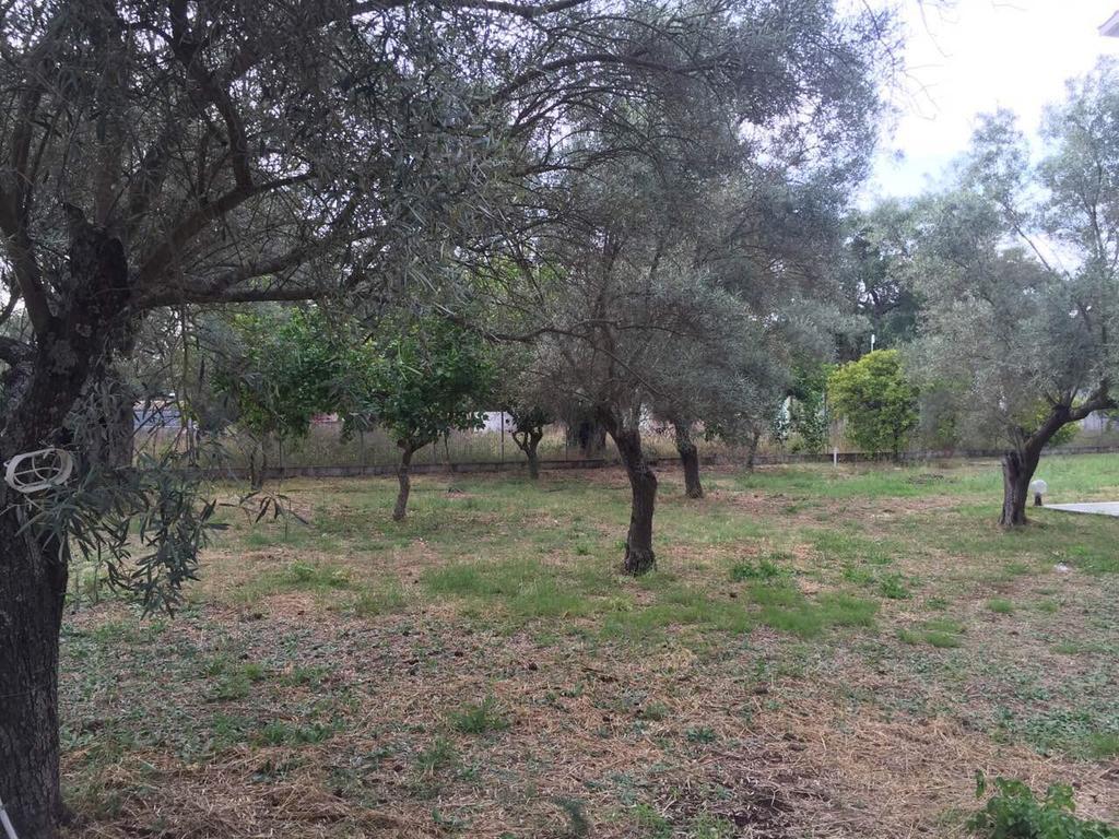 Sapfo studios Lefkada Town Esterno foto